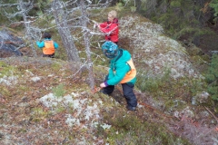 Ännu mera bergsbestigning